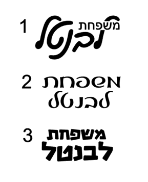 Cookie Jar - Hebrew - Image 2